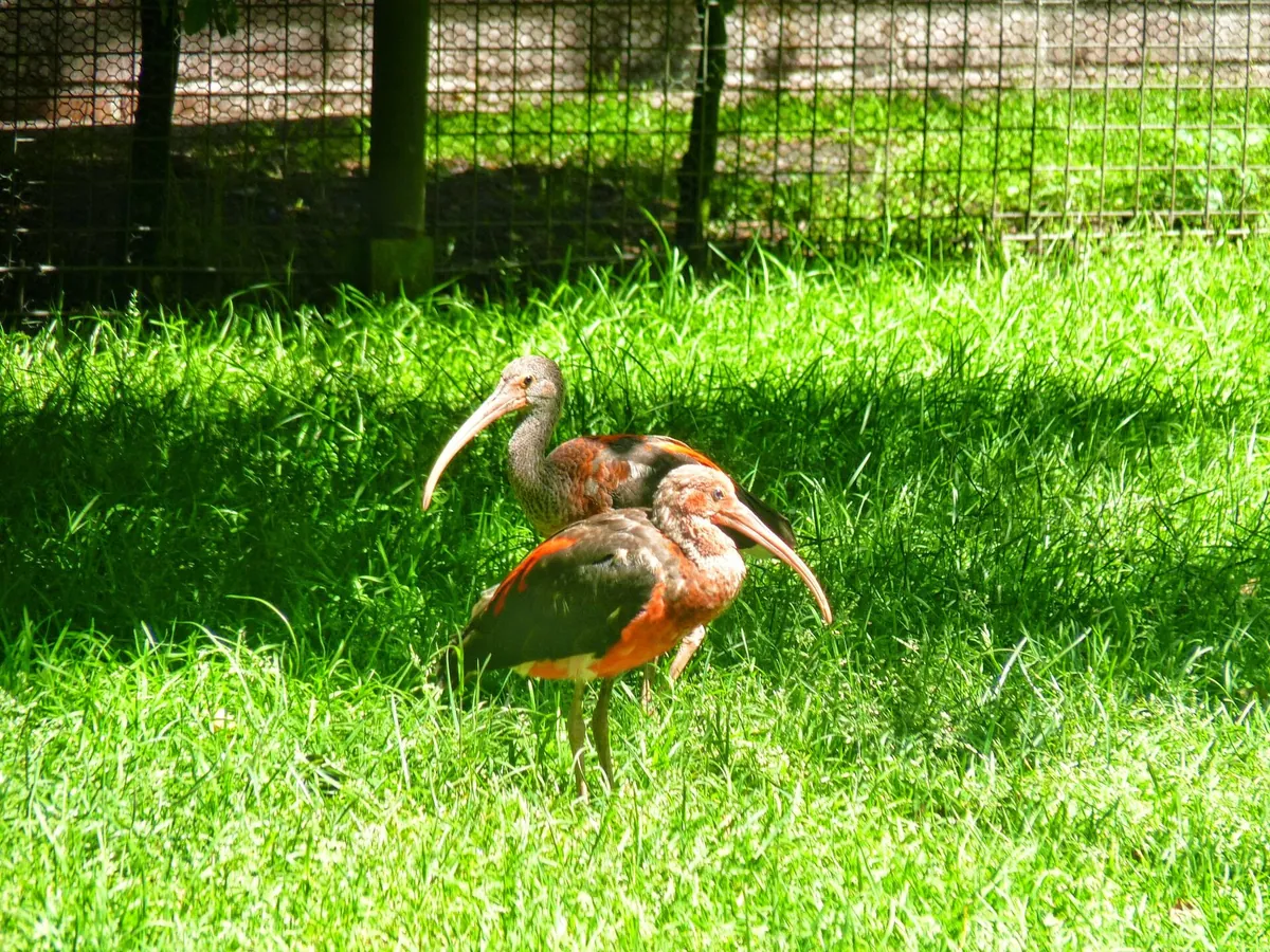 Tier- und Freizeitpark Thüle