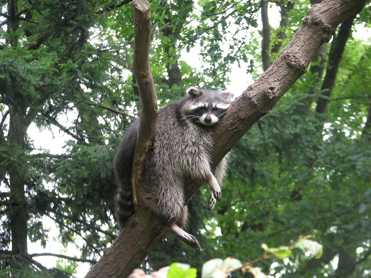 Tierpark Essehof