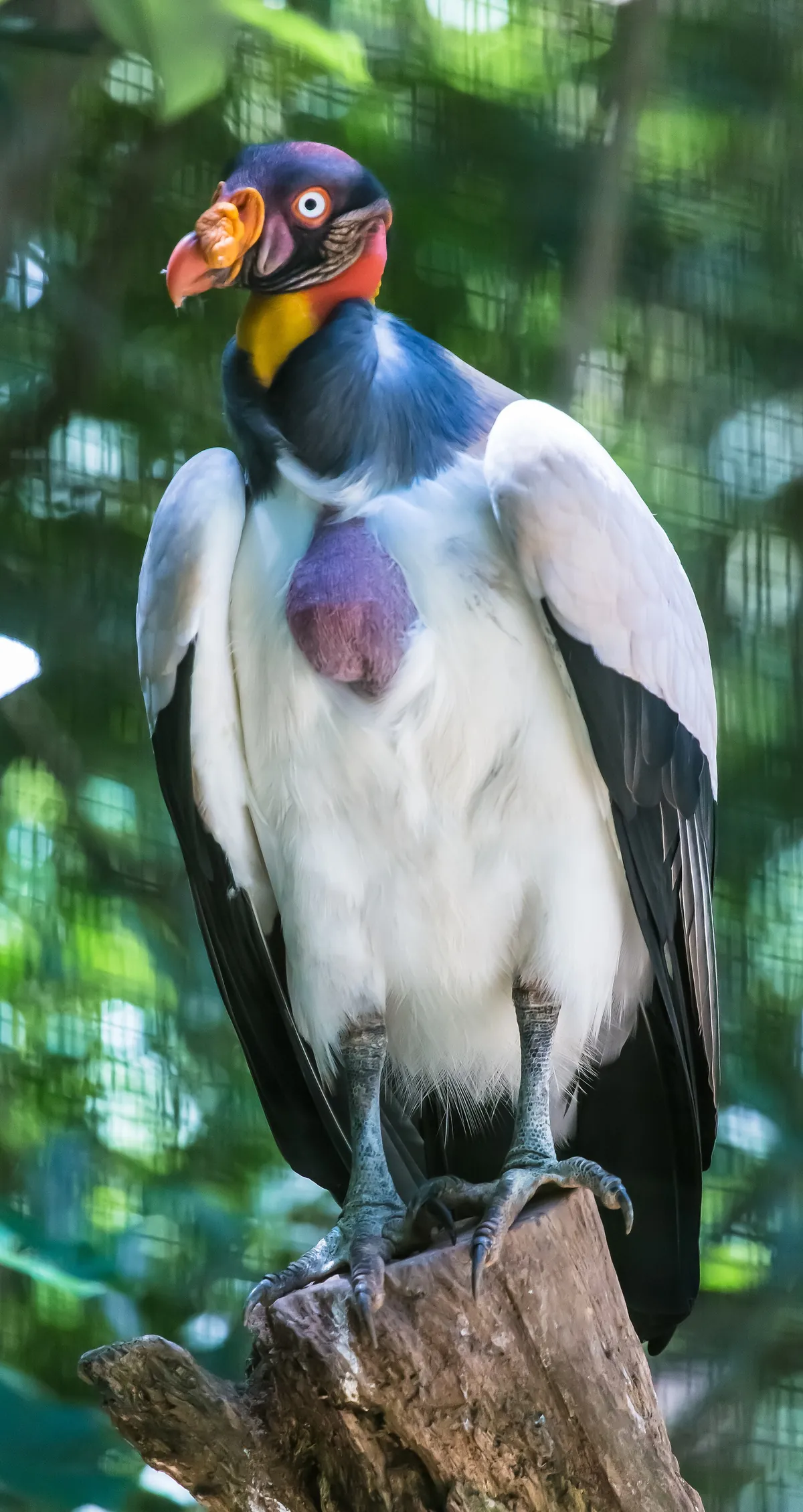 Zooparque Itatiba