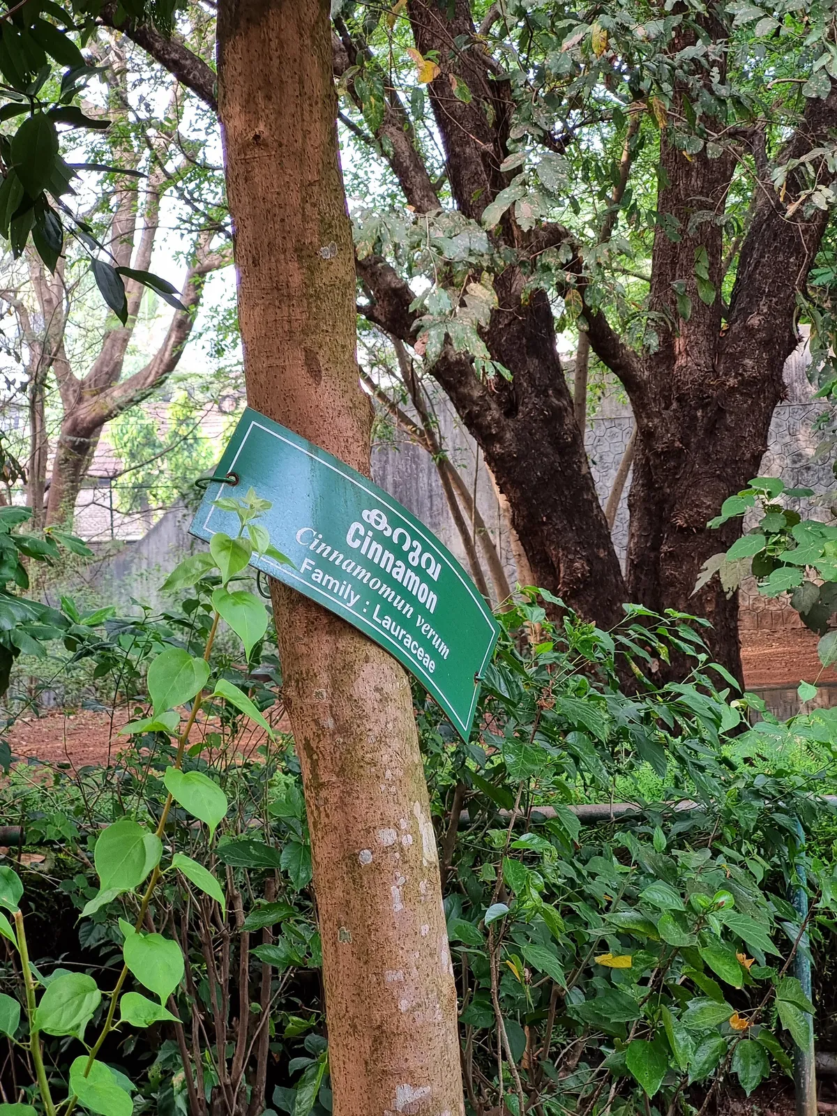 Thrissur Zoo