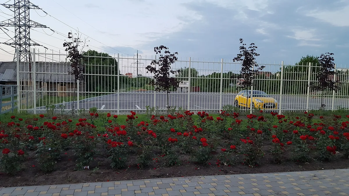 Rostov Zoo
