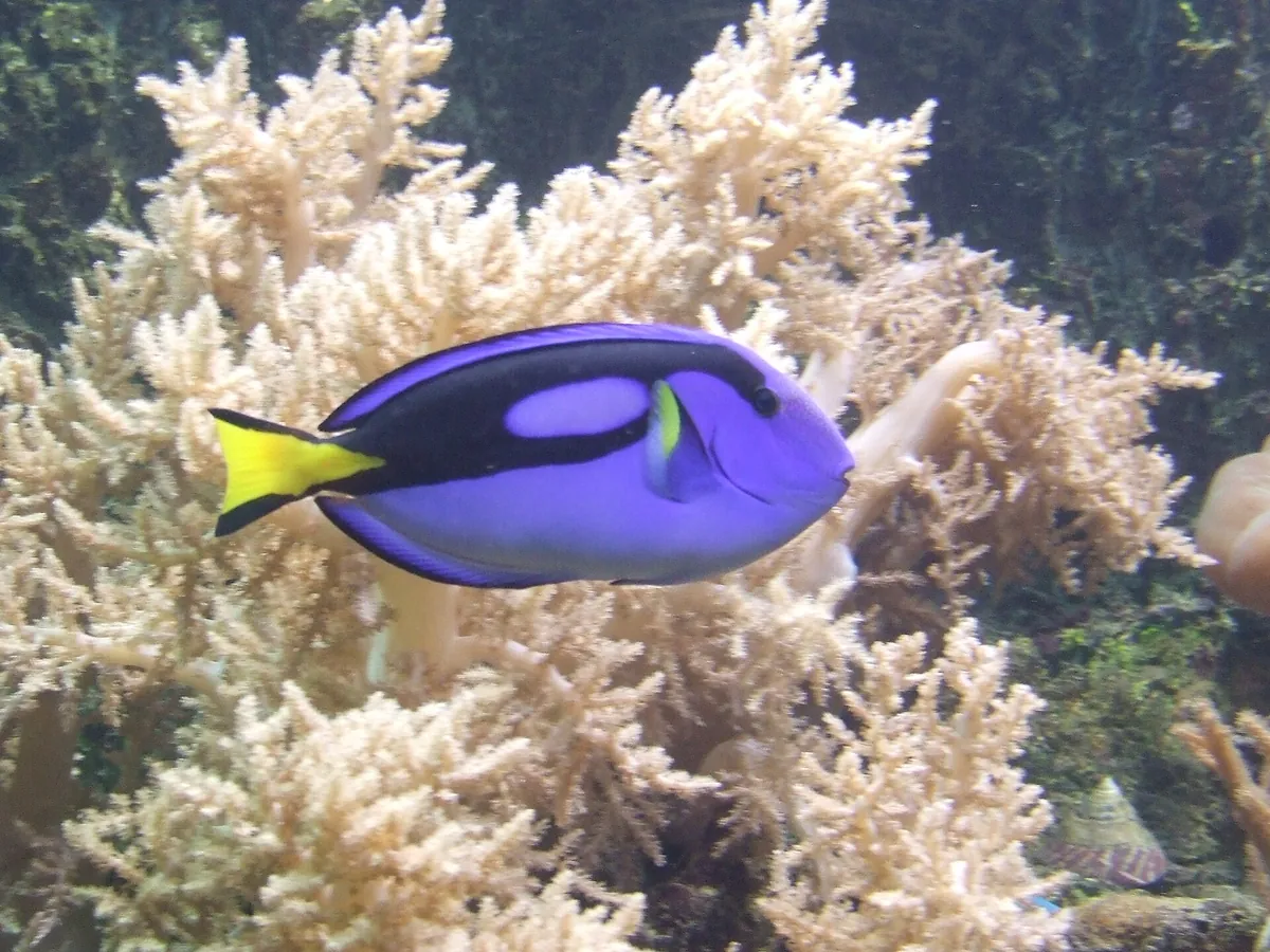 UnderWater World Guam