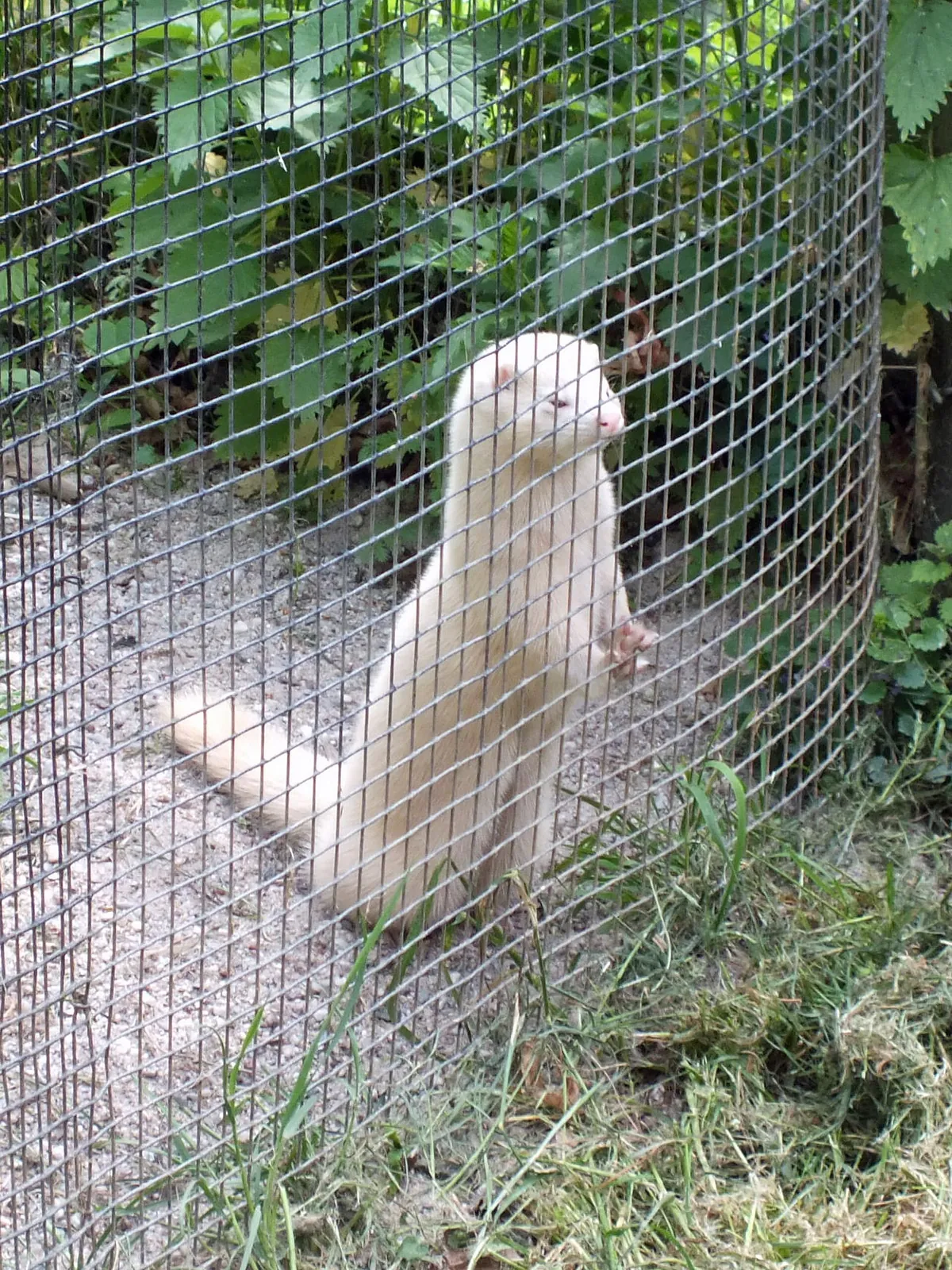 Wildpark Leipzig