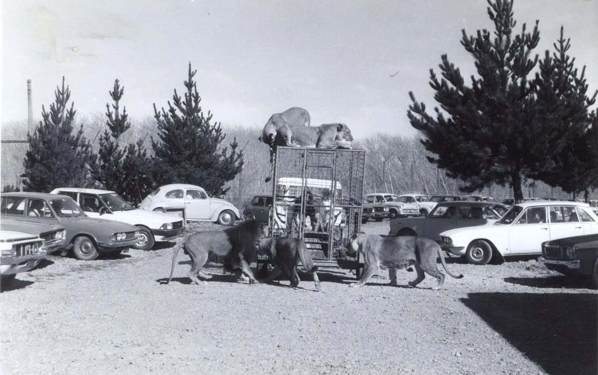 Orana Wildlife Park