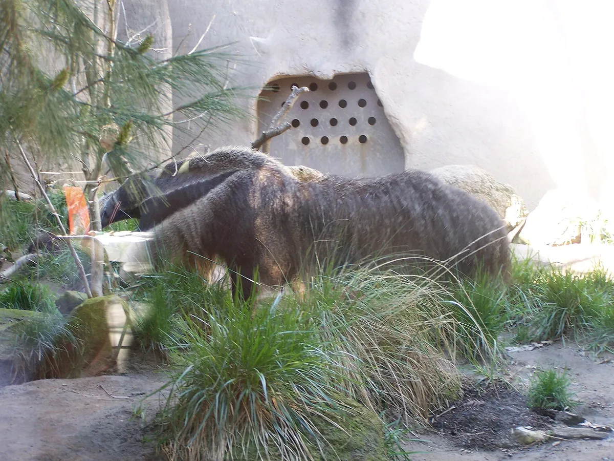 Sacramento Zoo