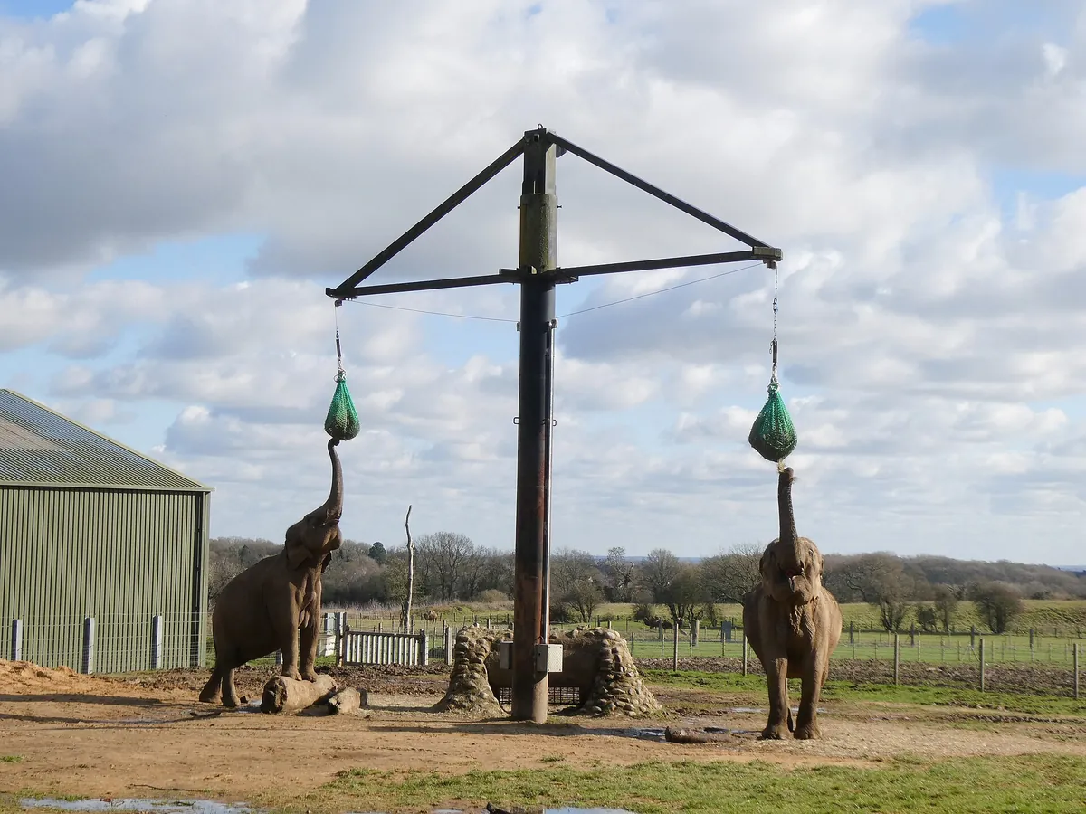 Whipsnade Zoo