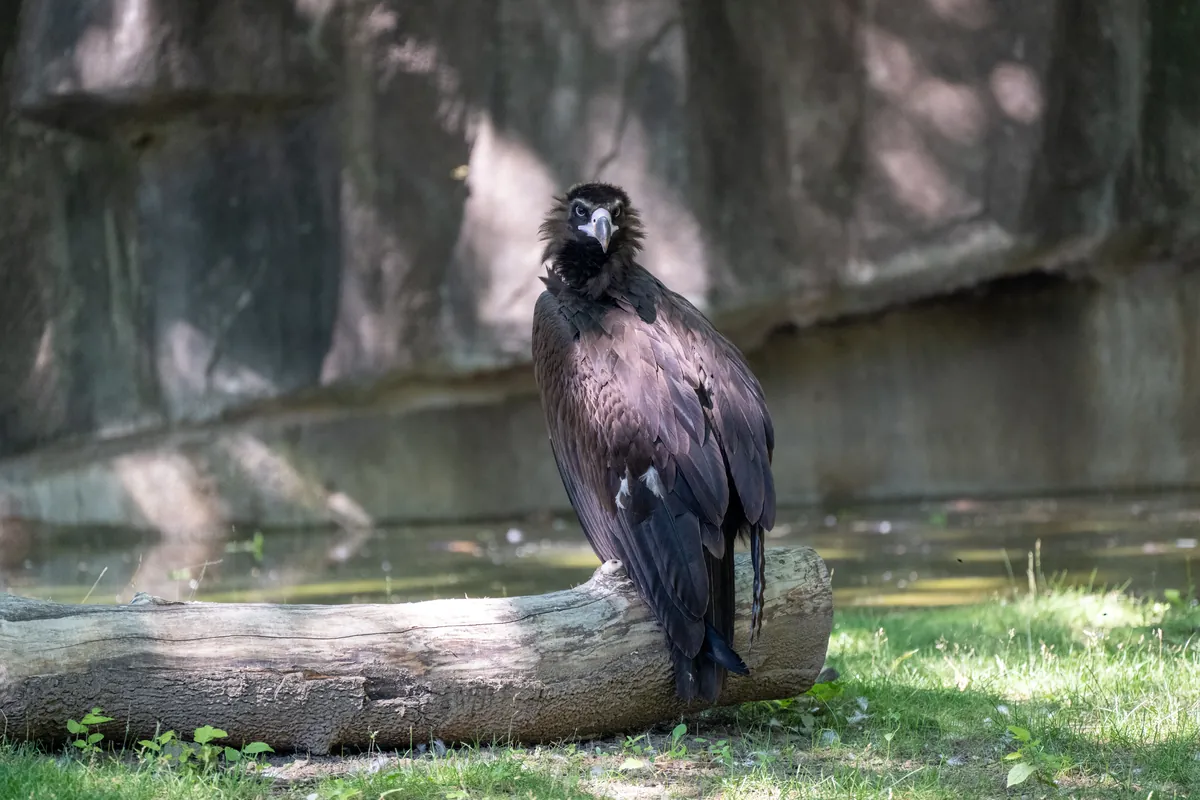 Milwaukee County Zoological Gardens