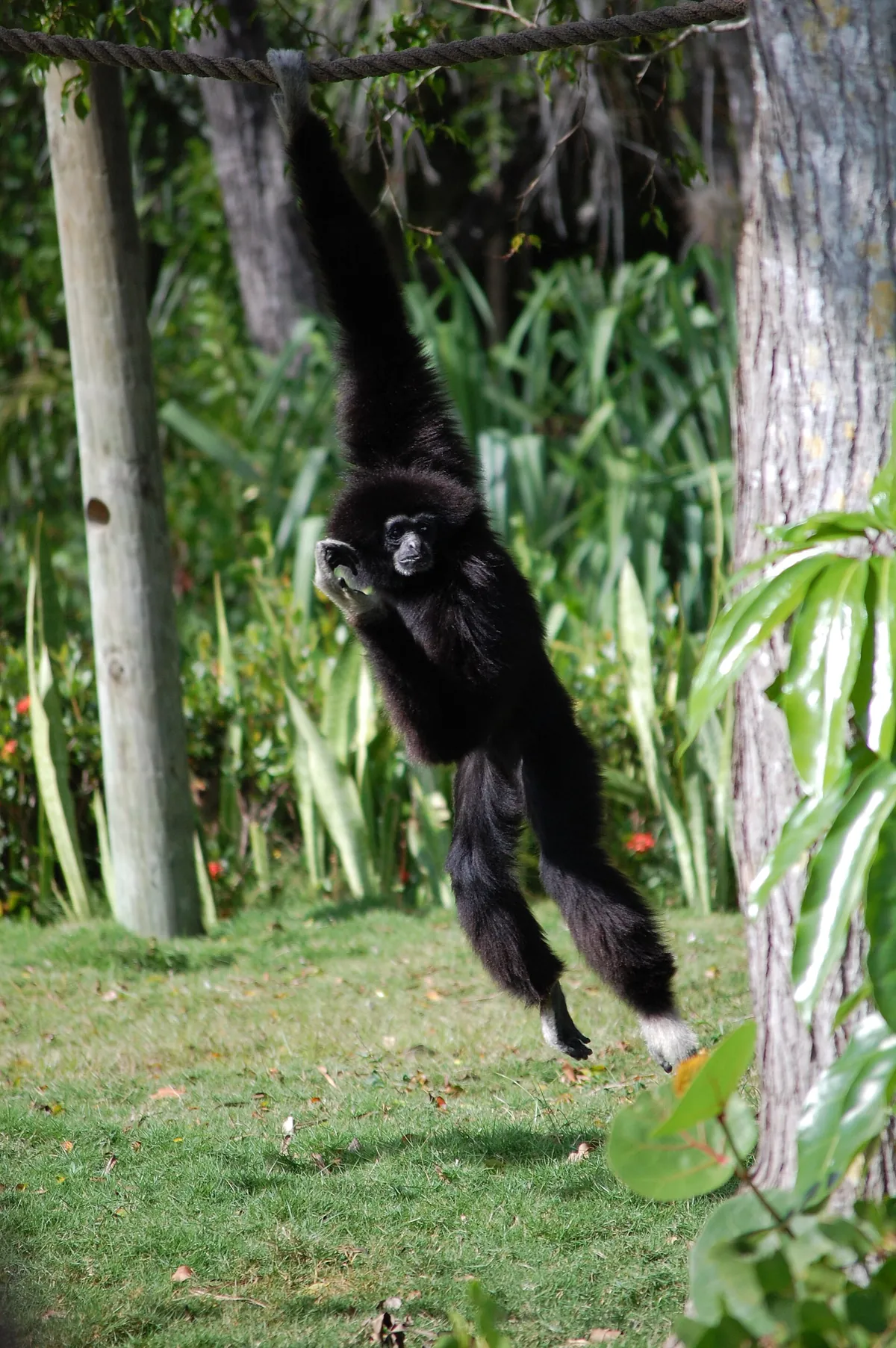 Naples Zoo
