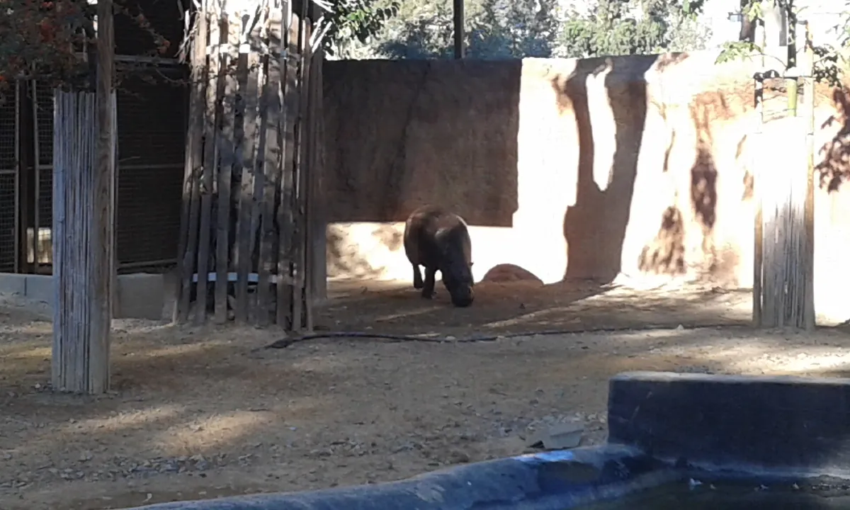 Limassol Zoo