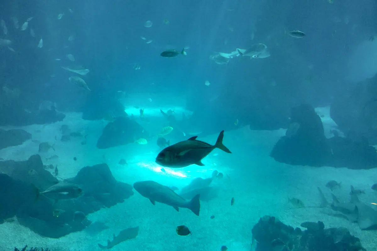 Oceanário de Lisboa