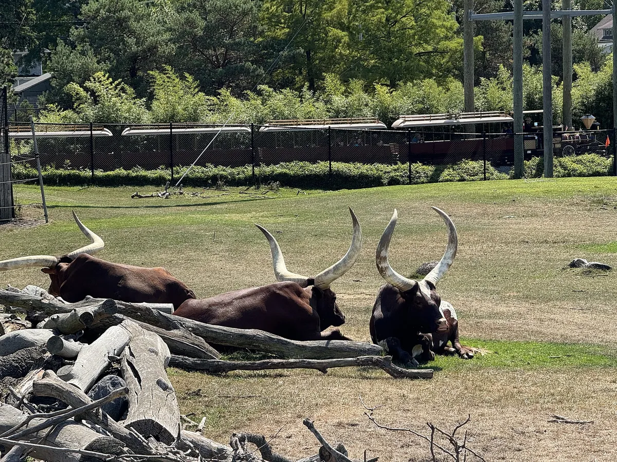 Toledo Zoo