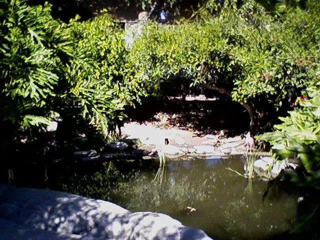 Santa Ana Zoo