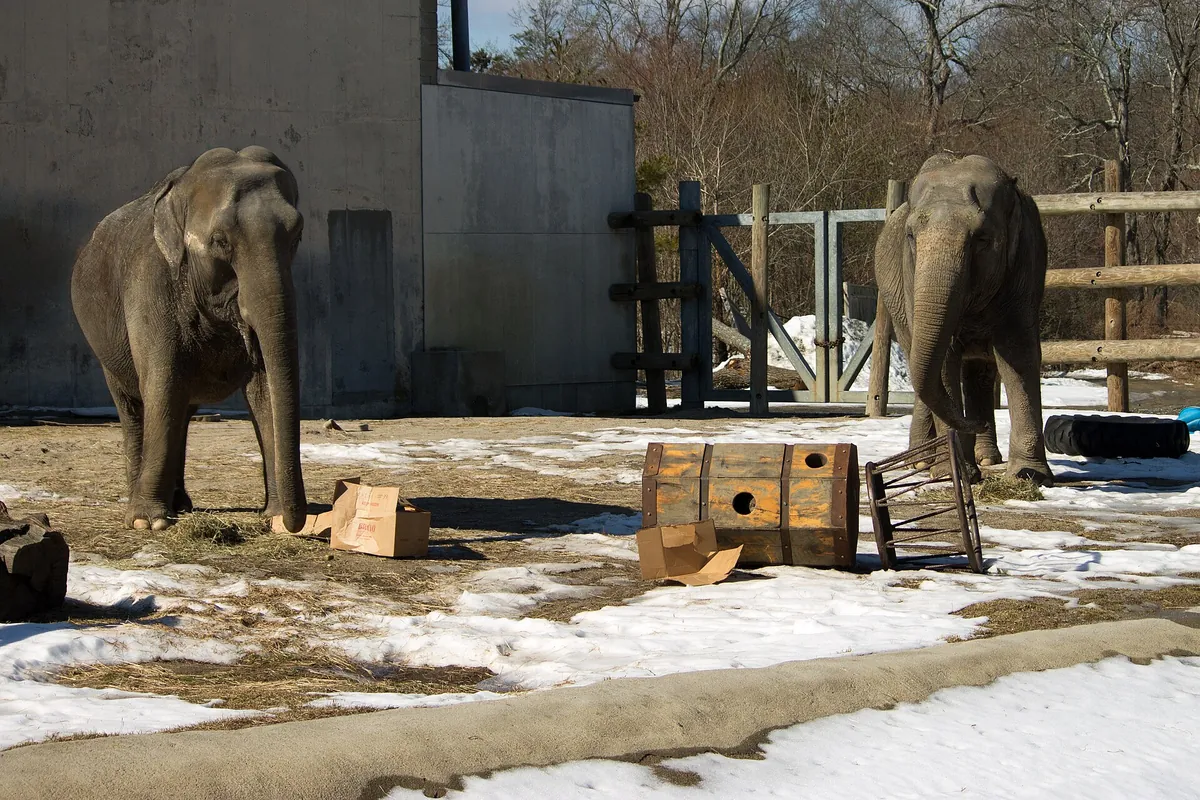 Buttonwood Park Zoo
