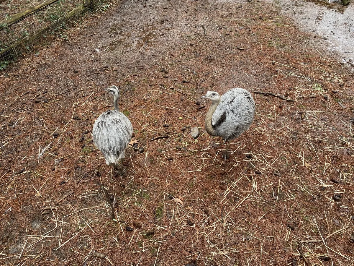 Salisbury Zoo