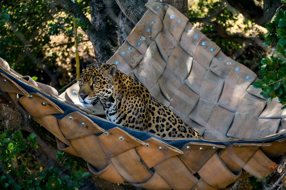 Oakland Zoo