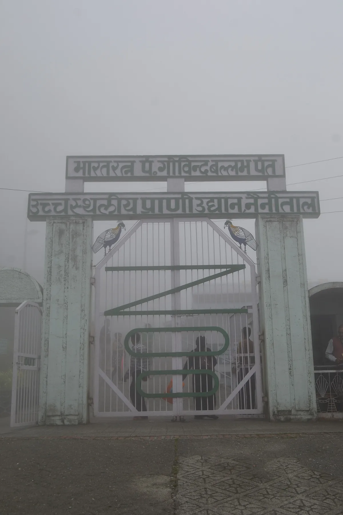 Pt. G.B. Pant High Altitude Zoo, Nainital