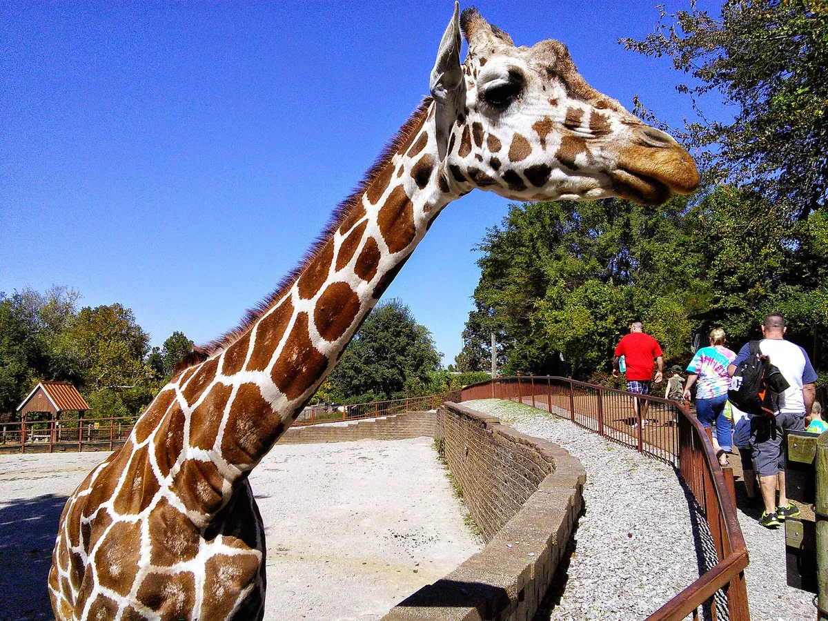 Mesker Park Zoo and Botanic Garden