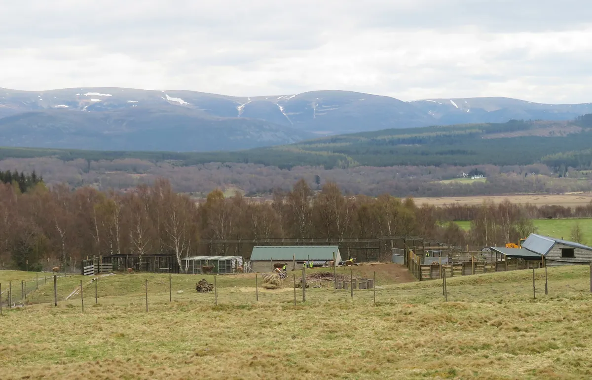 RZSS Highland Wildlife Park