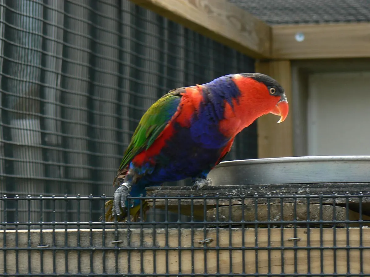Tanganyika Wildlife Park
