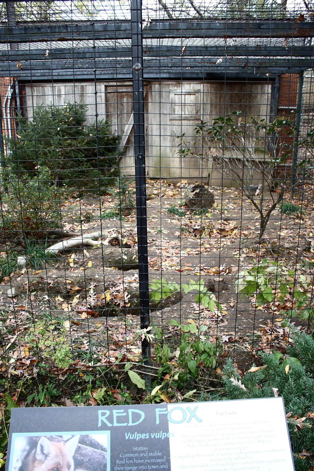 Connecticut's Beardsley Zoo