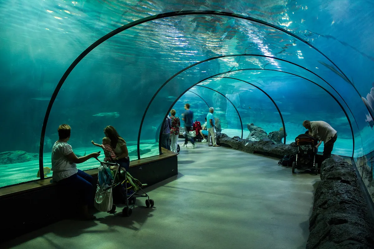 Oceanium