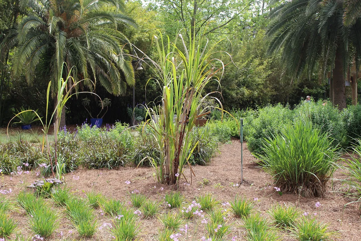 Jacksonville Zoo and Gardens