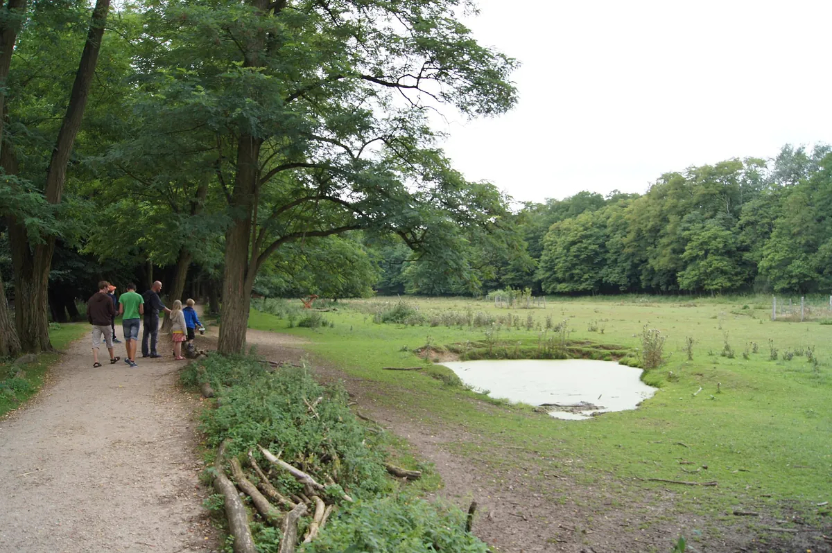 Wildpark Frankfurt