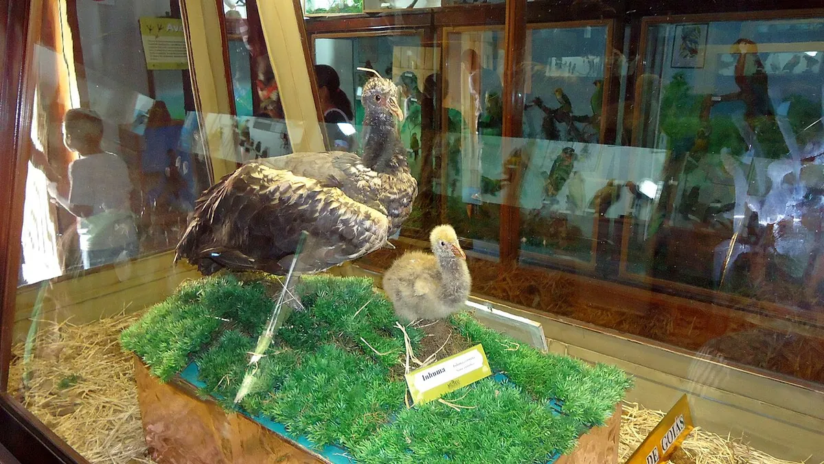 Zoológico de Goiânia