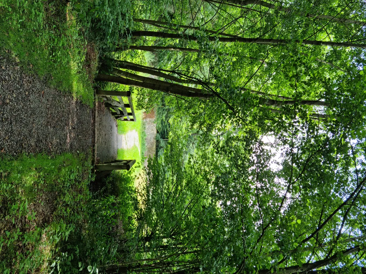 Tierpark Sababurg
