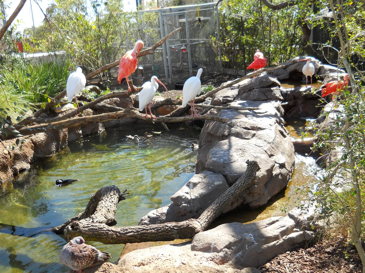 Mississippi Aquarium