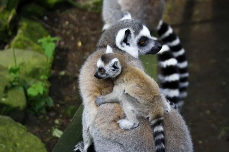 Zoo Veldhoven