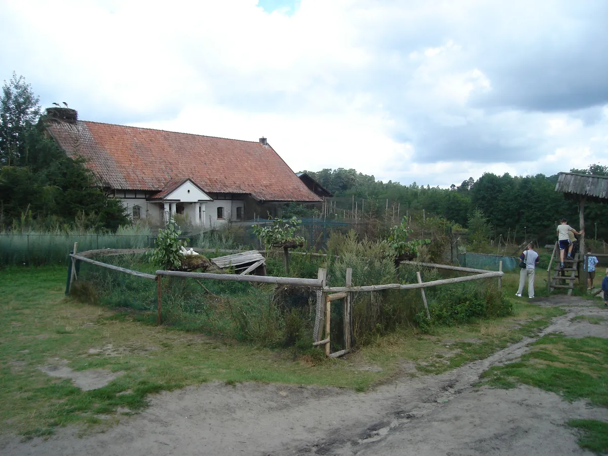 Kadzidłowo Zoo