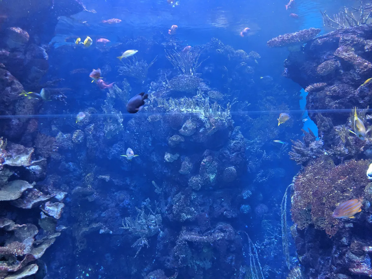 Royal Burgers' Zoo
