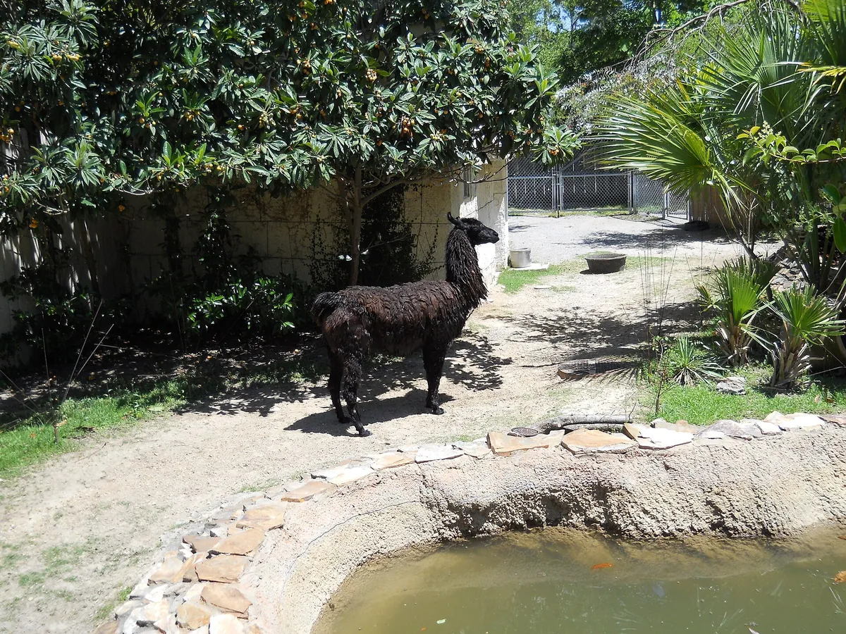 Hattiesburg Zoo