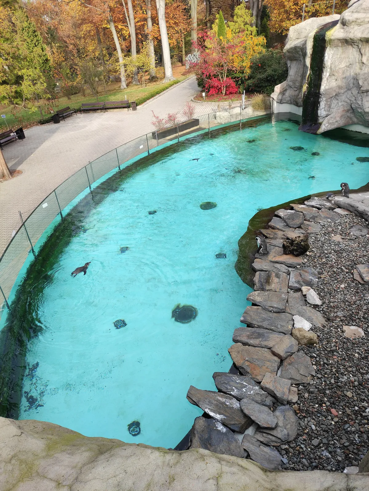 Kraków Zoo