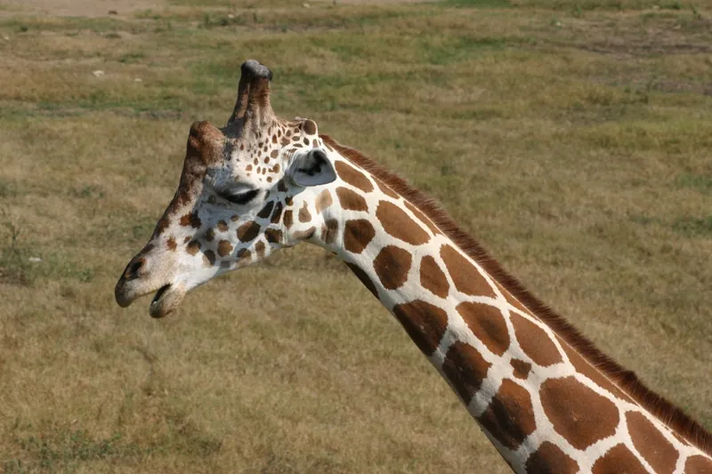 Frank Buck Zoo