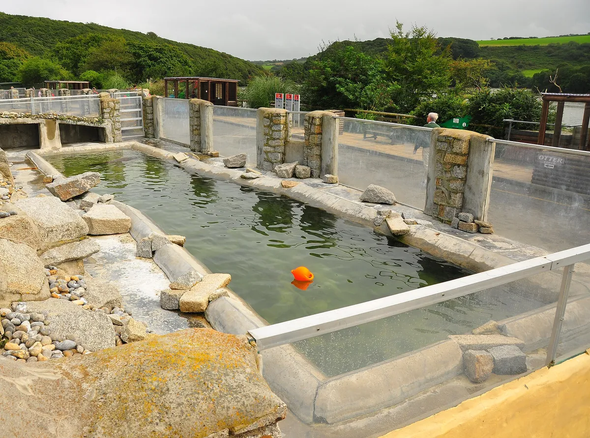 Cornish Seal Sanctuary