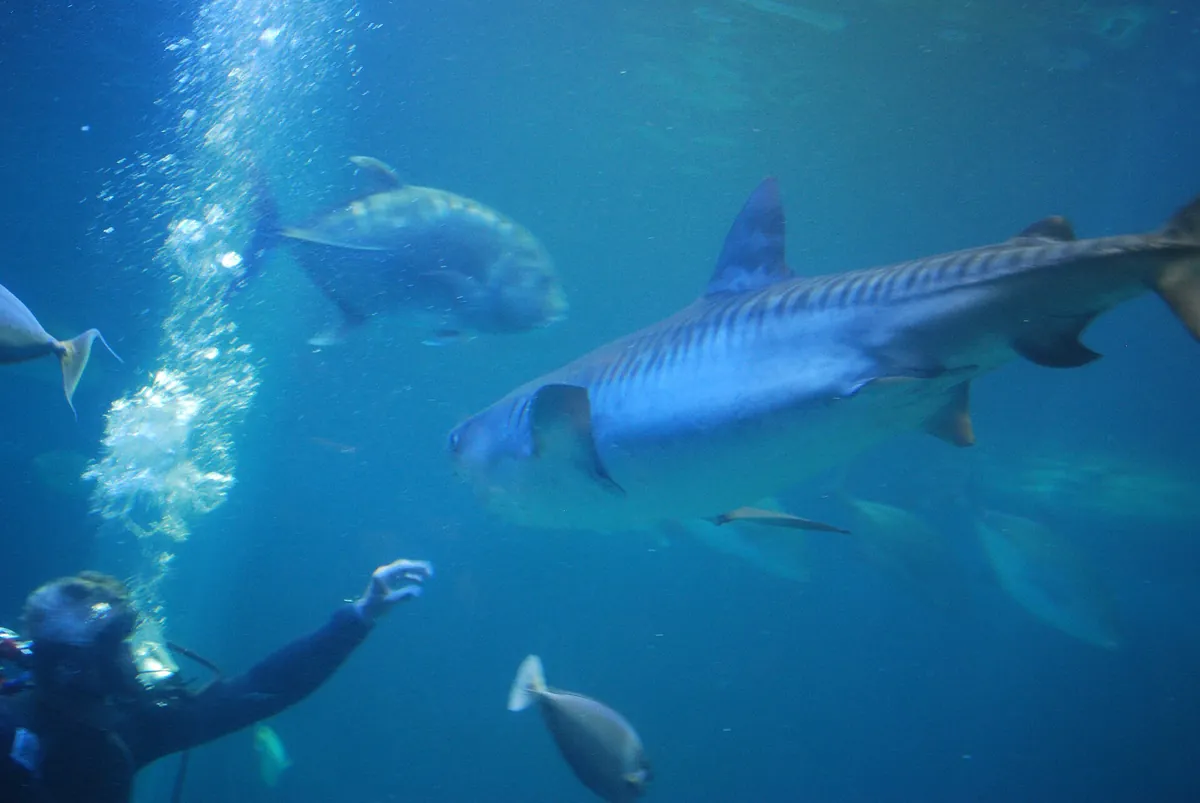 Maui Ocean Center