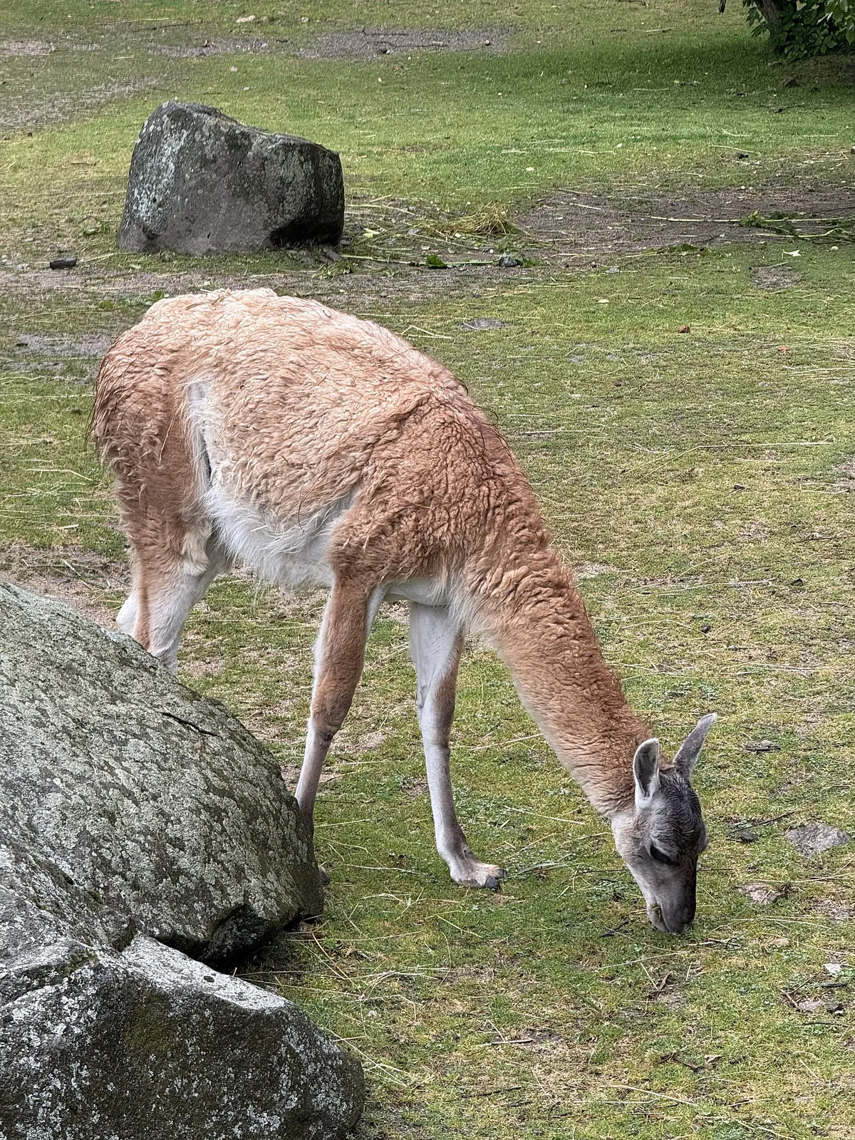 Jihlava Zoo