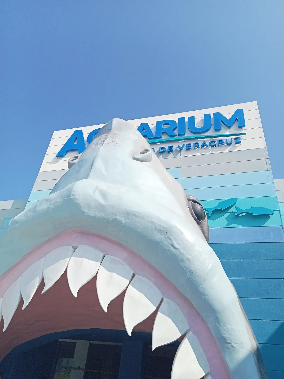 Aquarium of Veracruz