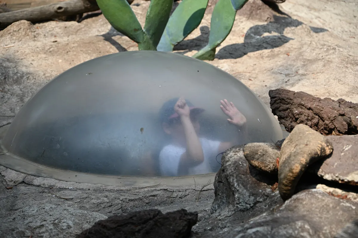 Parque Zoológico Nacional La Aurora