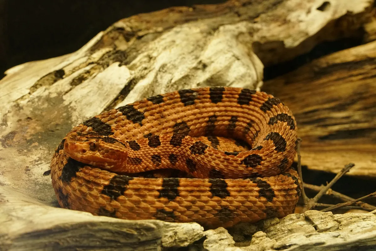 North Carolina Aquarium at Pine Knoll Shores
