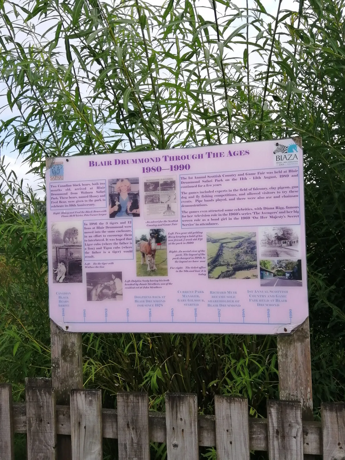 Blair Drummond Safari and Adventure Park
