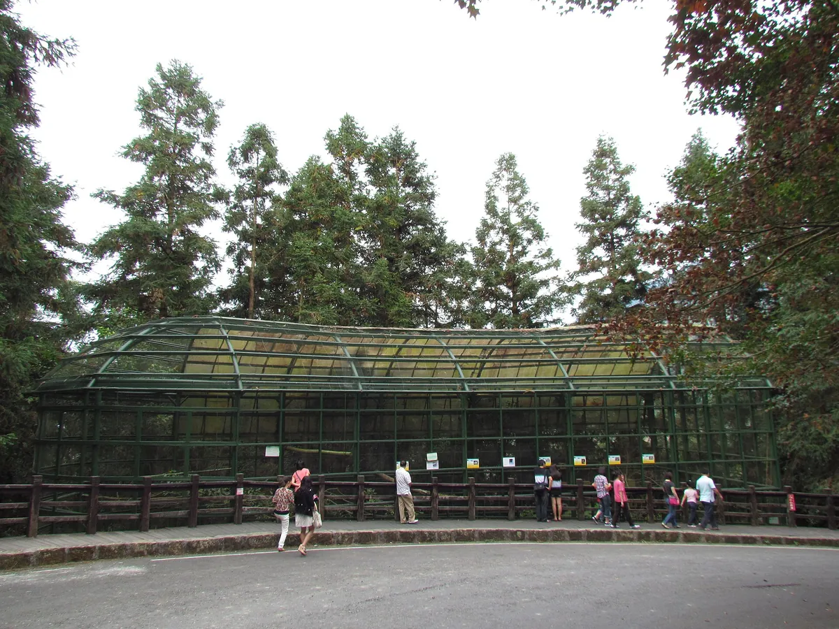 Fonghuanggu Bird and Ecology Park