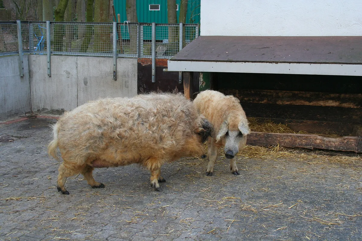 Tierpark Herford