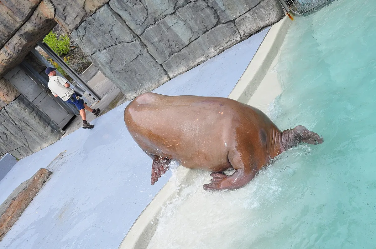 Aquarium du Québec
