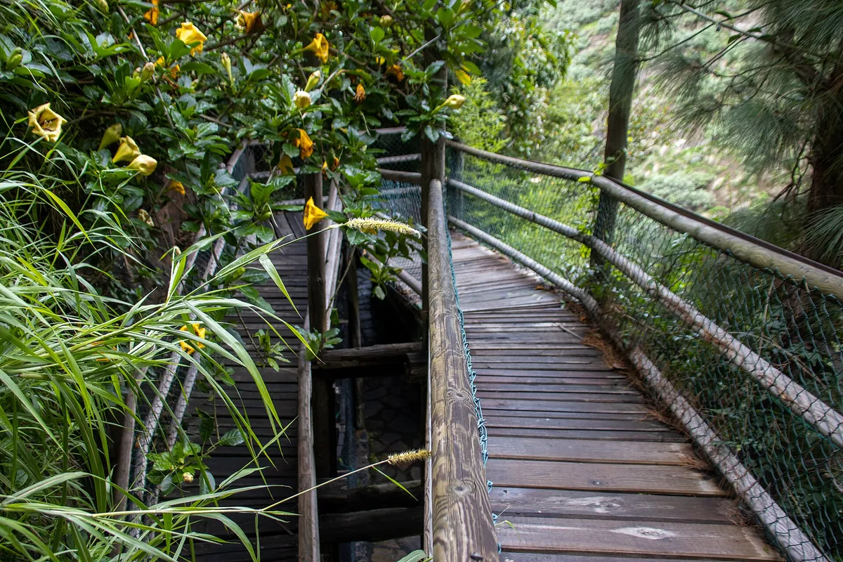 MAROPARQUE ISLA DE LA PALMA