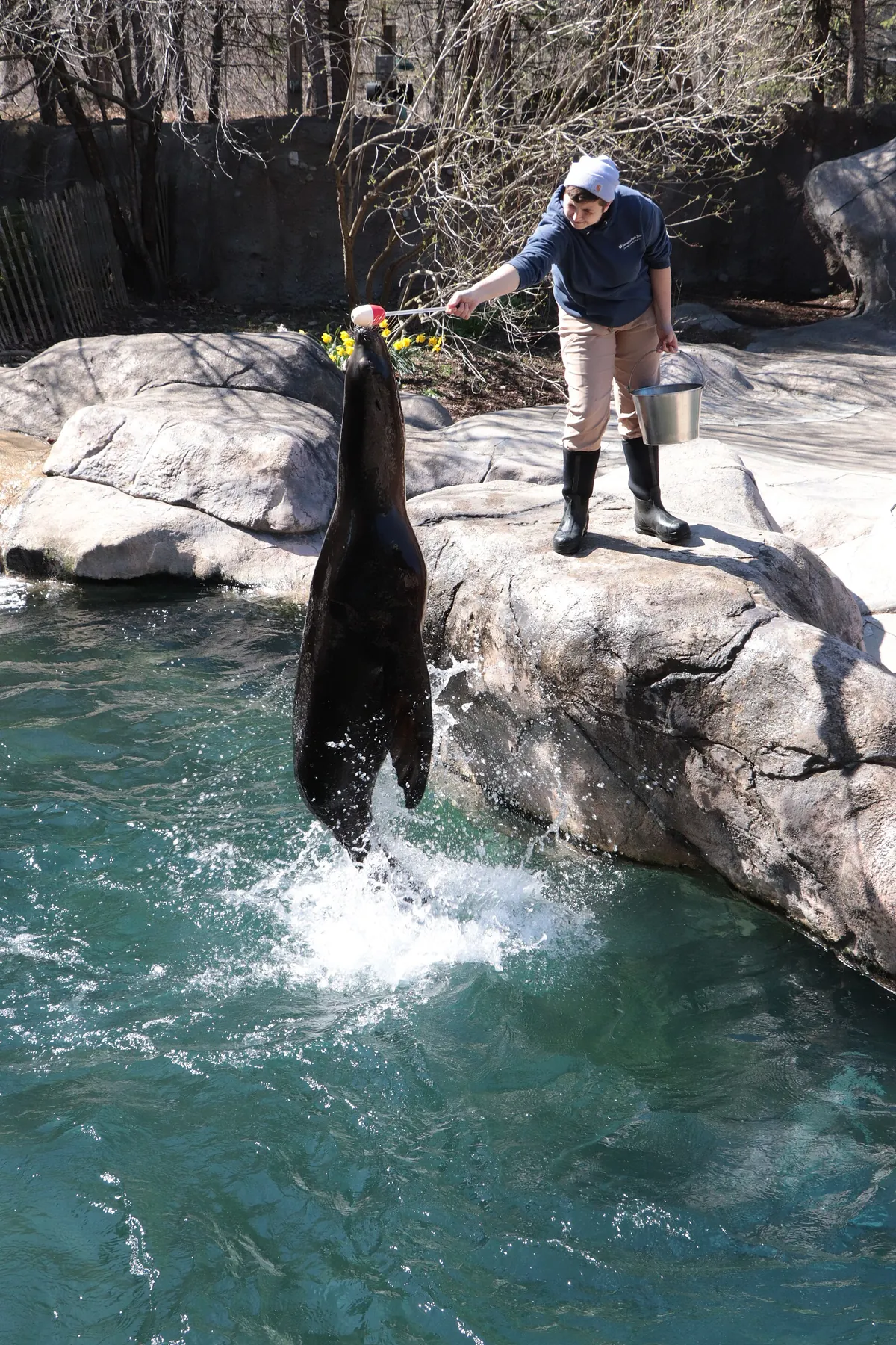 Seneca Park Zoo