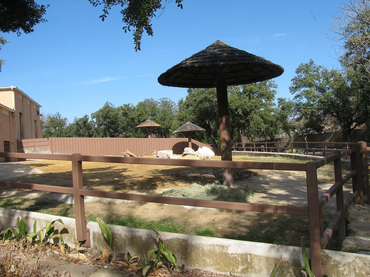 Dallas Zoo
