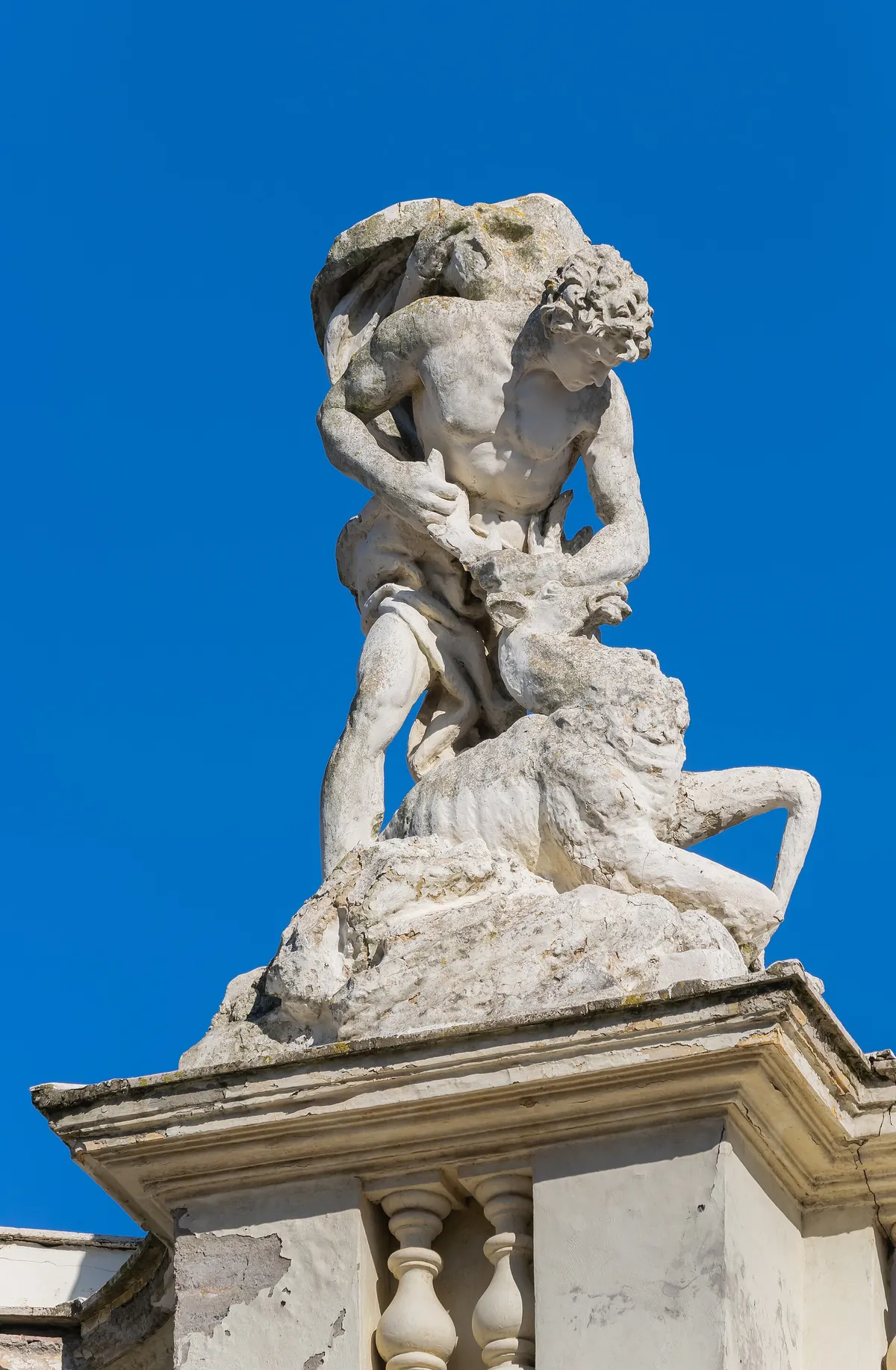 Fondazione Bioparco di Roma